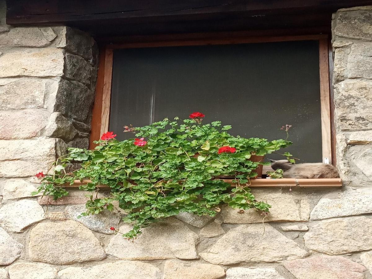 Naturaleza, Confort Y Vistas Inigualable En Casa Rural La Cumbre กาตา ภายนอก รูปภาพ